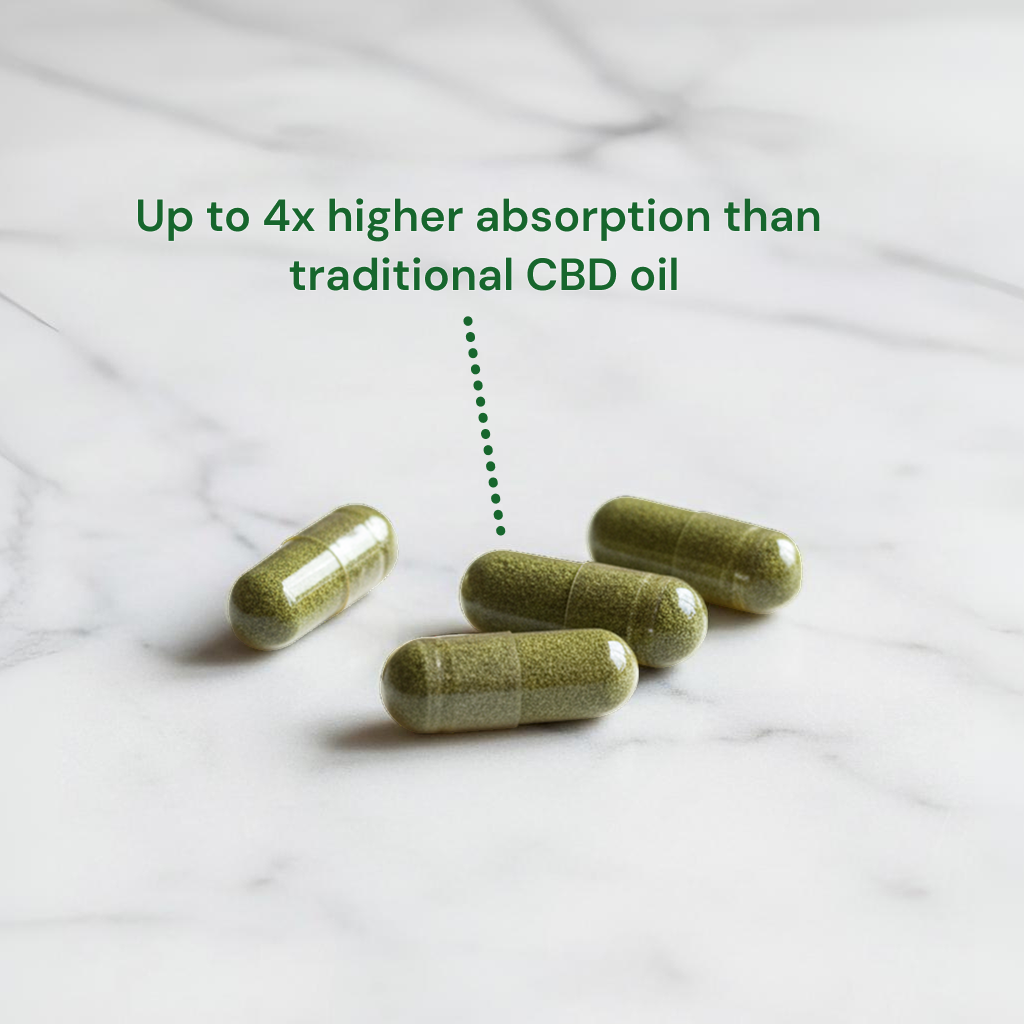 Capsules with up to 4x higher absorption than traditional CBD oil