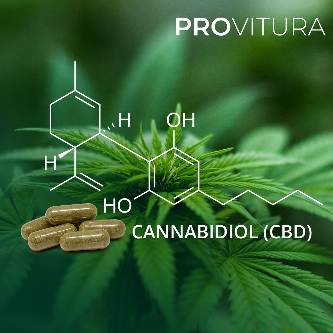 Provitura CBD capsules with the cannabidiol molecule structure