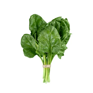 Fresh spinach, a plant-based source of iron
