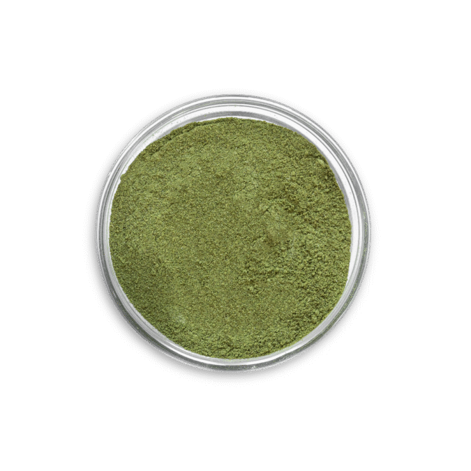 Round container of green powder on a black background